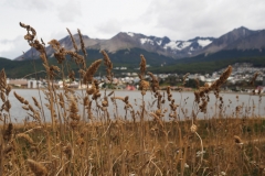 En Patagonie il faut du blé