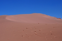 Une photo de Namibie