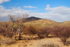 Paysage namibien